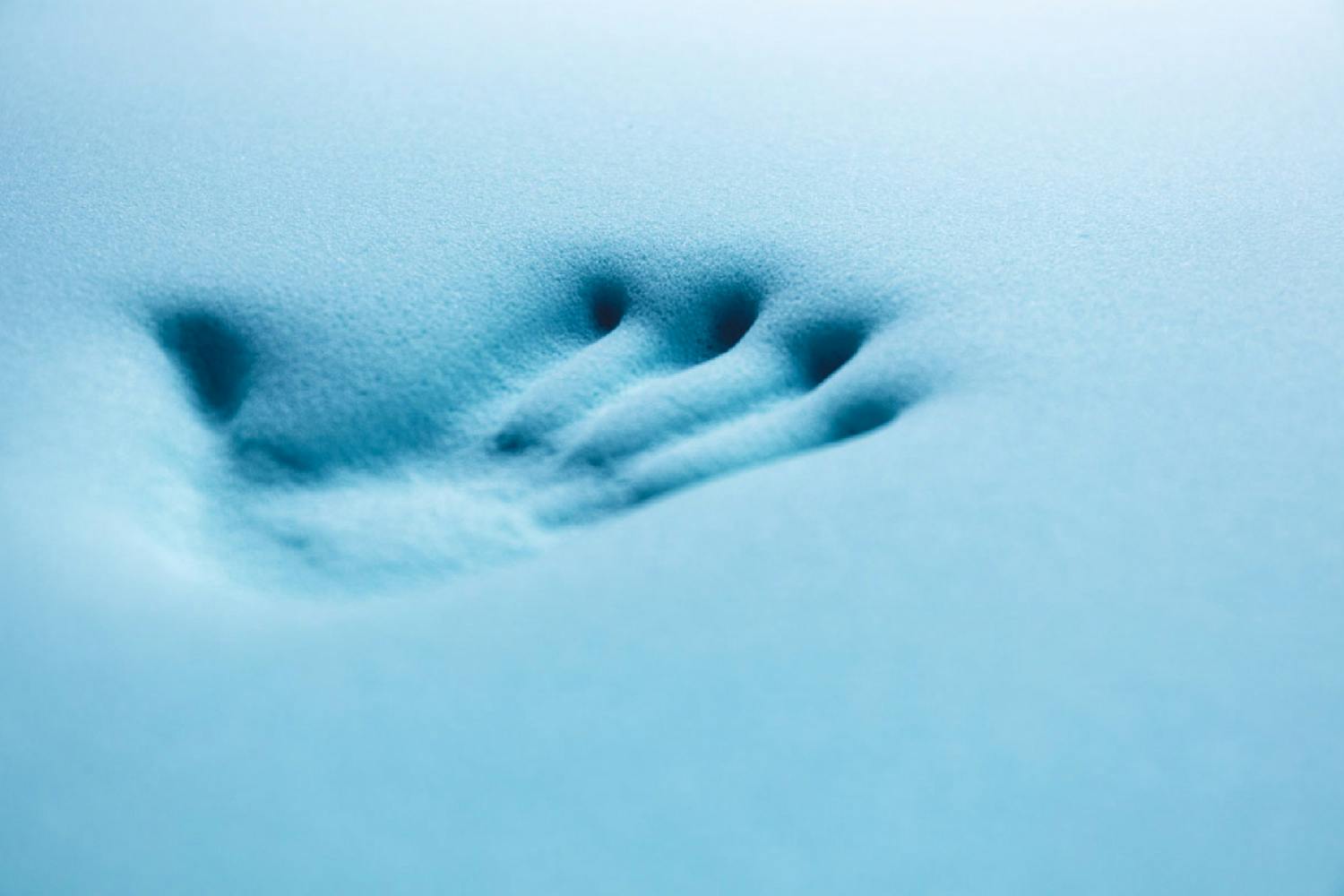 hand pressing into blue memory foam
