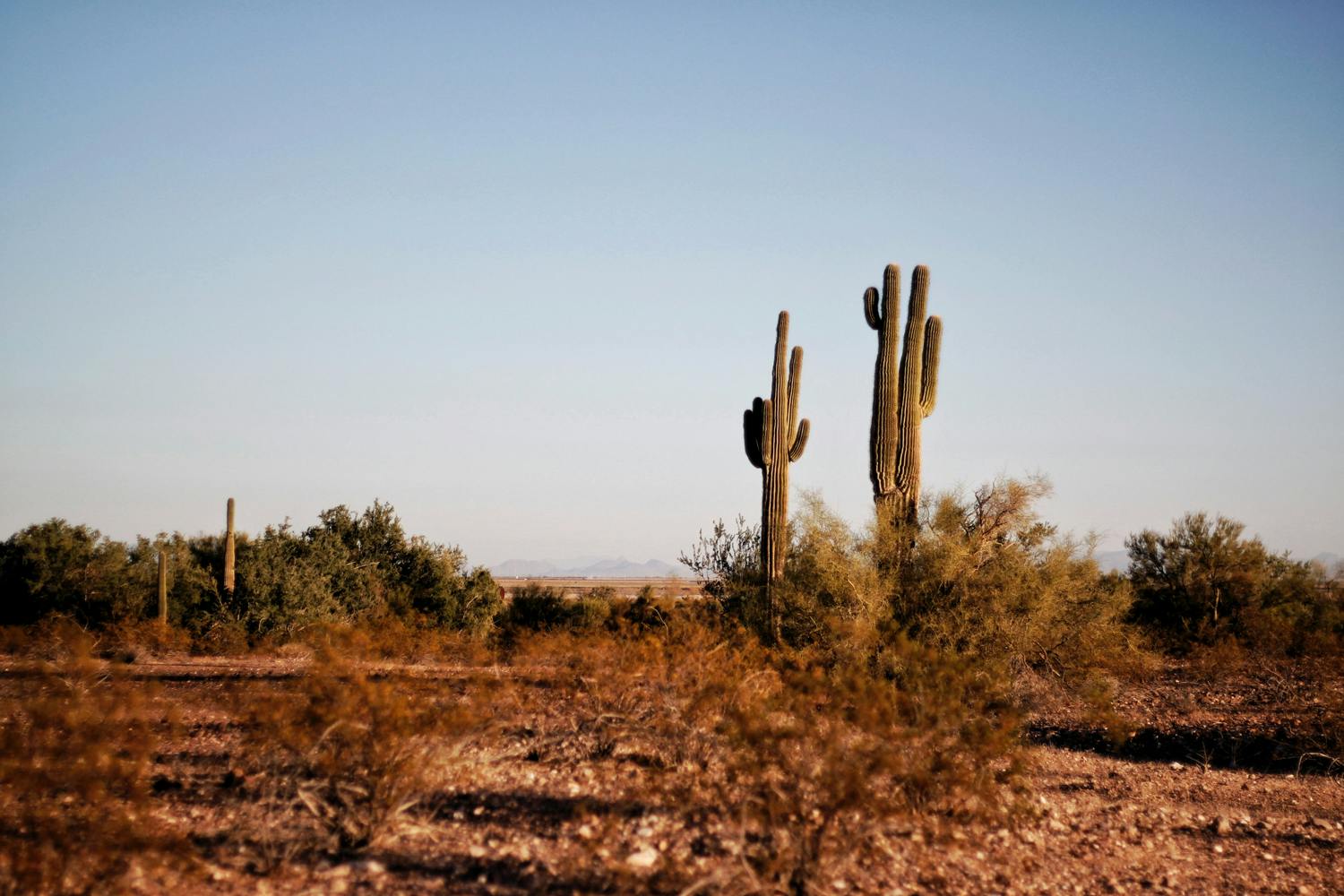 airbnb/Phoenix AZ