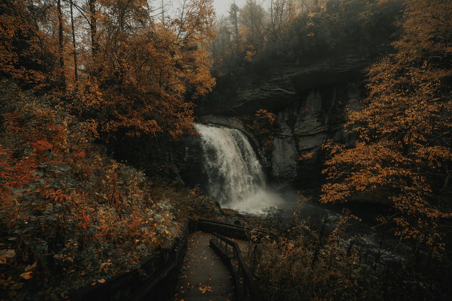 airbnb/asheville nc