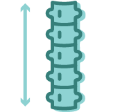 spine icon