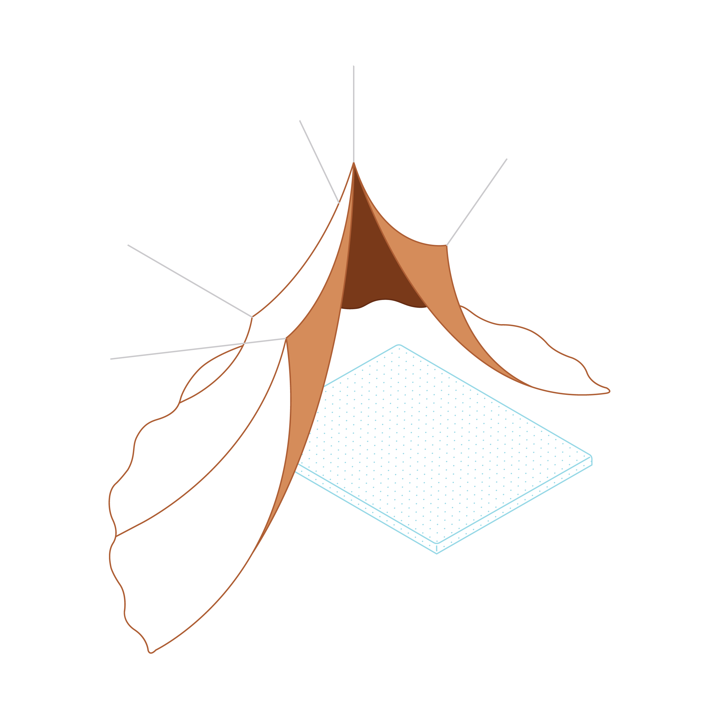 illustration of a select mattress topper on the floor